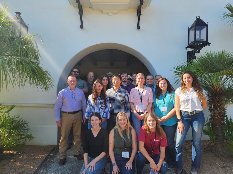 Research Fellowships